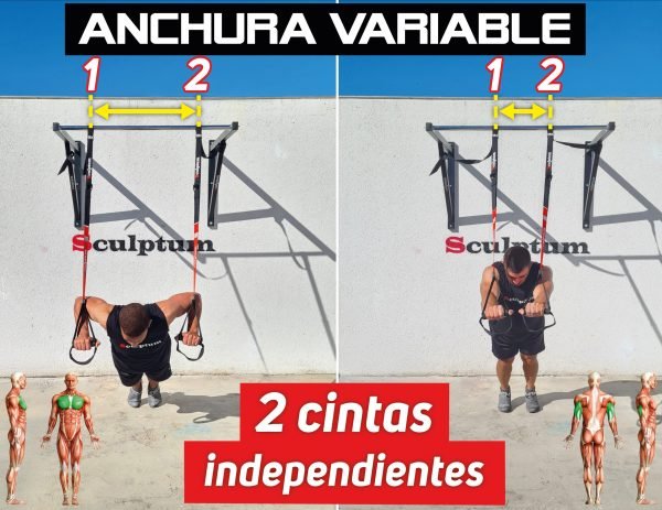 TRX Sculptum™ – Sistema de entrenamiento en suspensión, resistente, portátil y ajustable