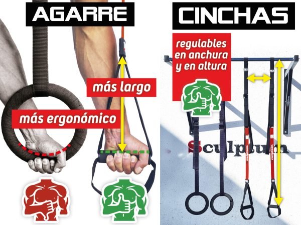 TRX Pro Sculptum, 2 cintas independientes, varias la anchura.