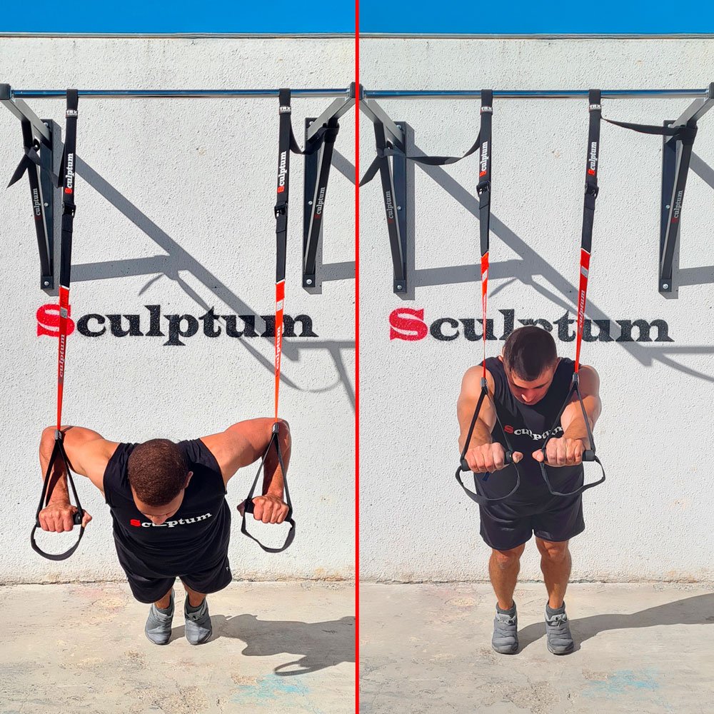 TRX Sculptum™ – Sistema de entrenamiento en suspensión, resistente, portátil y ajustable