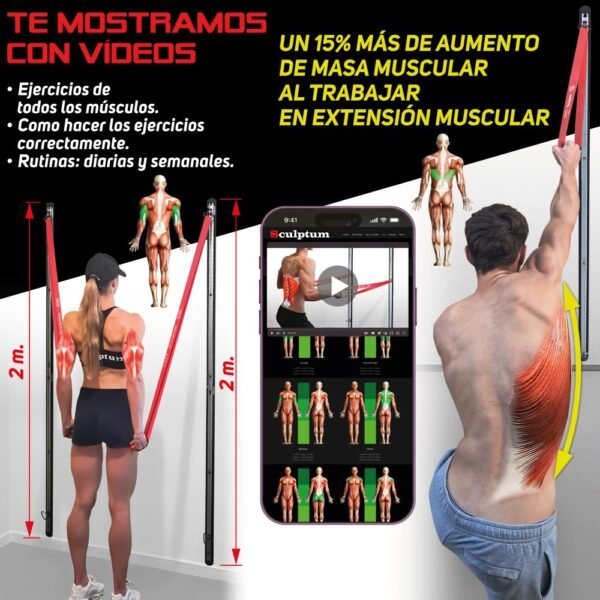 ejercicios-bilaterales-pecho-espalda-doble-anclaje Mujer realizando aperturas de pecho (Crossover) y hombre haciendo remo dorsal utilizando dos railes de pared paralelos para máxima amplitud.